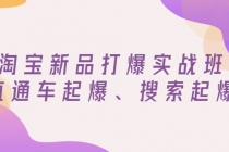 淘宝新品打爆实战班，直通车起爆、搜索起爆-冒泡网