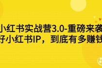 小红书实战营3.0-重磅来袭：做好小红书IP，到底有多赚钱？-冒泡网