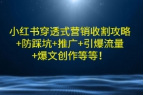 小红书穿透式营销收割攻略+防踩坑+推广+引爆流量+爆文创作等等！-冒泡网