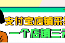 【信息差项目】支付宝店铺采集项目，只需拍三张照片，轻松日赚300-500-冒泡网