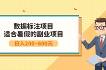 数据标注项目：适合暑假的副业兼职项目，日入200~600元-冒泡网