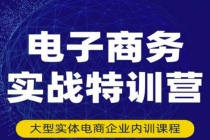 电子商务实战特训营，全方位带你入门电商，308种方式玩转电商-冒泡网