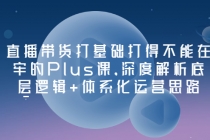 直播带货打基础打得不能在牢的Plus课，深度解析底层逻辑+体系化运营思路-冒泡网