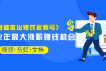 《零基础做出赚钱视频号》2022年最大涨粉赚钱机会（视频+音频+图文)价值199-冒泡网