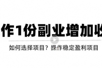 新手如何通过操作副业增加收入，从项目选择到玩法分享！【视频教程】-冒泡网