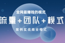 全网最赚钱的模式《流量+团队+模式》案例实战商业模式-冒泡网