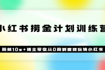 《小红书捞金计划训练营》粉丝10w+博主带你从0粉到变现玩转小红书（72节课)-冒泡网