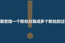 「粉丝裂变训练营」0-1-1w爆发式增长，24小时不断的涨粉-睡觉也在涨-16节课-冒泡网