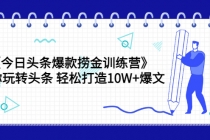 《今日头条爆款捞金训练营》带你玩转头条 轻松打造10W+爆文-冒泡网