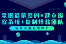 电商流量起爆体系：掌握流量密码+建立爆款系统+复制爆款团队-冒泡网