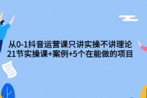 从0-1抖音运营课只讲实操不讲理论：21节实操课+案例+5个在能做的项目-冒泡网