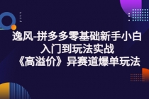 逸风-拼多多零基础新手小白入门到玩法实战《高溢价》异赛道爆单玩法实操课-冒泡网