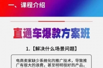 《直通车爆款方案班》提高直通车推广功能-冒泡网