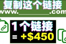 复制链接赚美元，一个链接可赚450+，利用链接点击即可赚钱的项目(视频教程)-冒泡网