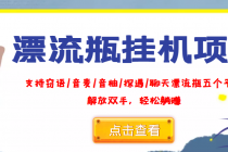 外面收费688的漂流瓶全自动挂机项目，号称单窗口稳定每天收益100+-冒泡网