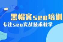 某收费培训课：黑帽客seo培训，专注seo实战技术教学！-冒泡网