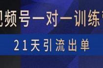 视频号训练营：带货，涨粉，直播，游戏，四大变现新方向，21天引流出单-冒泡网