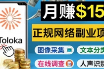 正规网络副业赚钱平台Toloka，利用业余时间月赚150美元-冒泡网