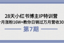 28天小红书博主IP特训营《第6+7期》4个月涨粉16W+教你日销过万月营收30万-冒泡网