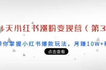 21天小红书涨粉变现营：带你掌握小红书爆款玩法，月赚10W+秘密-冒泡网