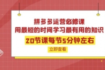 拼多多运营必修课：20节课每节5分钟左右，用最短的时间学习最有用的知识-冒泡网