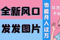 抖音头像号变现0基础教程：全新风口，发发图片也能变现月入10000+-冒泡网