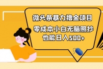 人人都能操作的微头条最新暴力撸金项目，零成本小白无脑搬运也能日入500+-冒泡网