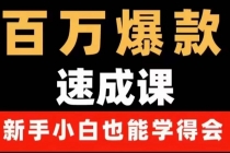 百万爆款速成课：用数据思维做爆款，小白也能从0-1打造百万播放视频-冒泡网