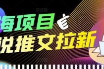 外面收费6880的小说推文拉新项目，个人工作室可批量做【详细教程】-冒泡网