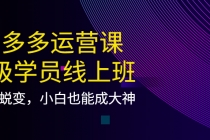 拼多多运营课：超级学员线上班，21天蜕变，小白也能成大神-冒泡网