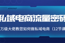 私域电商流量密码：千万级大佬教您如何做私域电商-冒泡网