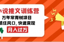 小说推文训练营，万年常青树项目，抓住风口，快速变现月入过万-冒泡网