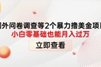 国外问卷调查等2个暴力撸美金项目，小白零基础也能月入过万-冒泡网