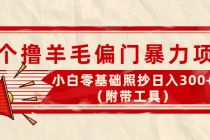 外面卖998的三个撸羊毛偏门暴力项目，小白零基础照抄日入300+-冒泡网