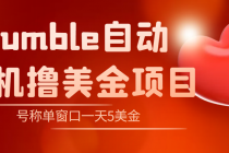 外面收费3888的rumble撸美金项目，号称单窗口一天5美金+【脚本+教程】-冒泡网