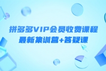 某社群·拼多多VIP会员收费课程，最新集训营+答疑课-价值3299元-冒泡网