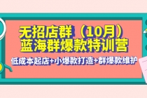 无招店群·蓝海群爆款特训营(10月新课) 低成本起店+小爆款打造+群爆款维护-冒泡网