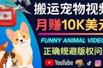 搬运TIKTOK视频到YouTube，并进行二次创作，月赚1万美元以上-冒泡网