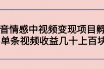 黄岛主副业孵化营第5期：抖音情感中视频变现项目孵化 单条视频收益几十上百-冒泡网