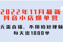 2022年11月最新抖音小店爆单训练营：无需直播，不用拍短视频，每天出1000单-冒泡网