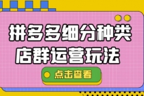 拼多多细分种类店群运营玩法3.0，11月最新玩法，小白也可以操作-冒泡网