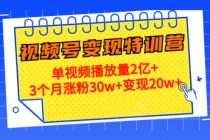 20天视频号变现特训营：单视频播放量2亿+3个月涨粉30w+变现20w+-冒泡网