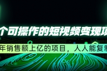 五个可操作的短视频变现项目：年销售额上亿的项目，人人能复制-冒泡网