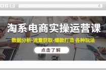 淘系电商实操运营课：数据分析-流量获取-爆款打造 各种玩法-冒泡网