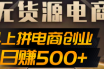 抖上拼无货源电商创业项目、外面收费12800，日赚500+的案例解析参考-冒泡网