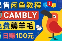 闲鱼赚钱小技巧，每单净赚10元，日赚100元 – 出售Cambly注册教程-冒泡网