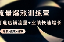 流量爆涨训练营：打造店铺流量+业绩快速增长 (爆款+搜索+推荐)-冒泡网