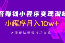 抖音赚钱小程序变现训练营：小程序月入10w+各类玩法运营技巧变现-冒泡网