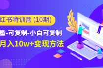 小红书特训营低门槛-可复制-小白可复制-独家月入10w+变现方法-冒泡网