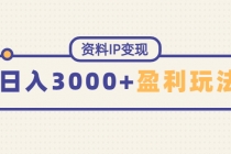 资料IP变现，能稳定日赚3000起的持续性盈利玩法-冒泡网